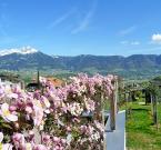 Ausblick Ferienwohnung Pergola