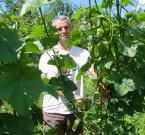 Winzer Stefan im Weinberg