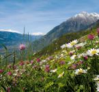 Vista dalla valle su Merano e dintorni