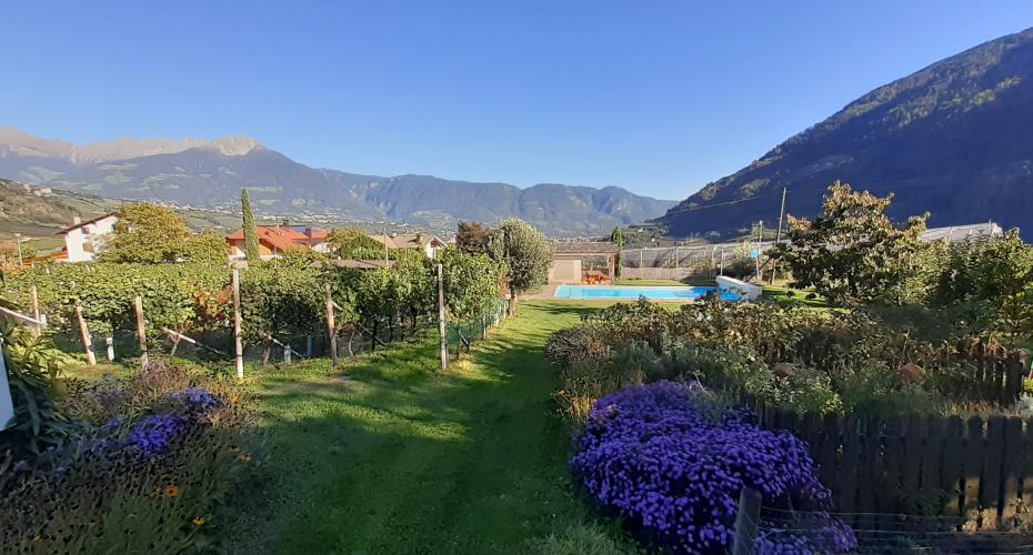 Fröhlichhof - Urlaub auf dem Bauernhof in Algund