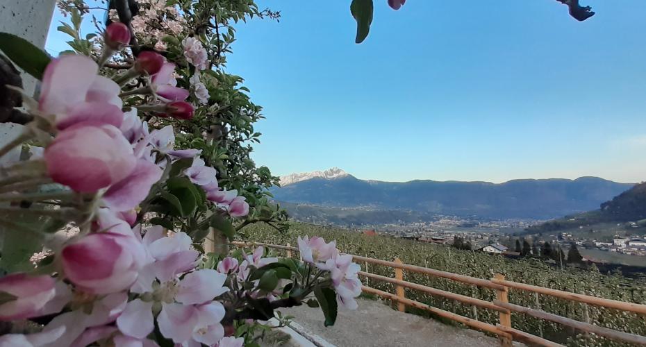 Escursioni e tour in mountain-bike a Merano e dintorni