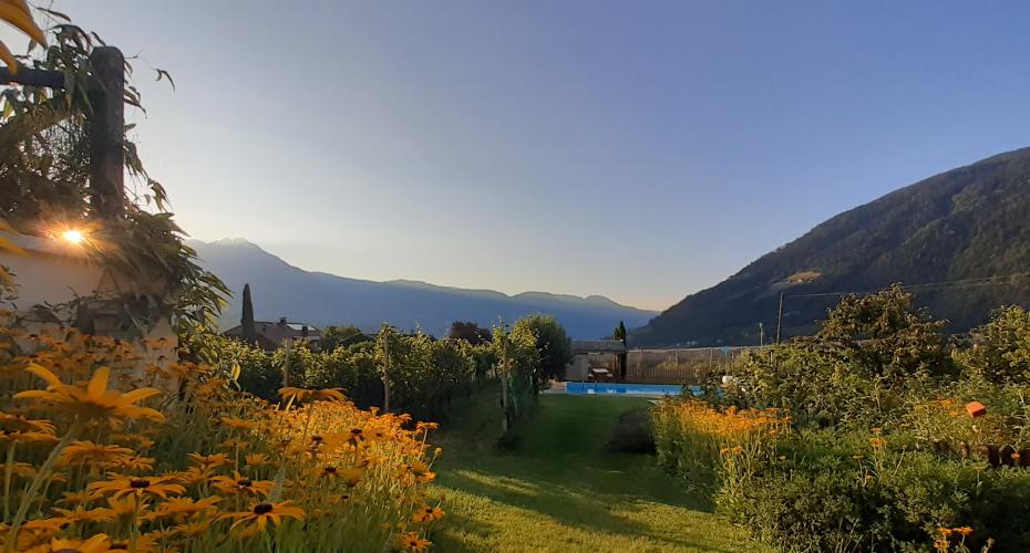 Fröhlichhof Algund - Urlaub auf dem Bauernhof