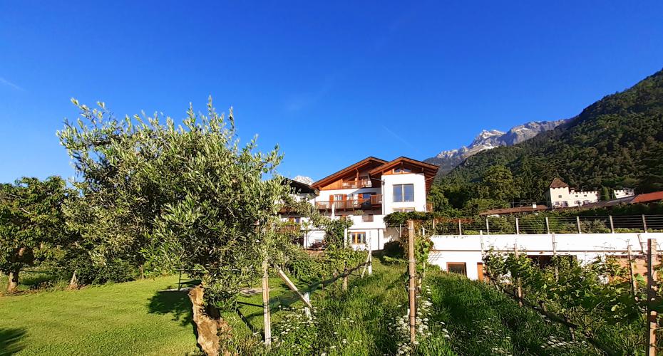 Fröhlichhof - Urlaub auf dem Bauernhof in Algund, Südtirol