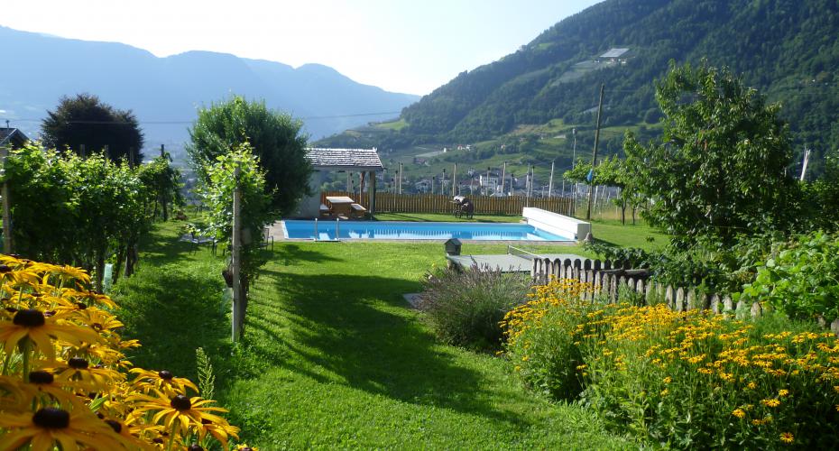 Fröhlichhof - Urlaub auf dem Bauernhof in Algund