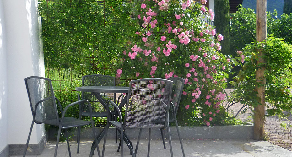 Terrazza dell'appartamento Pergola