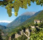 Schloss Tirol bei Meran